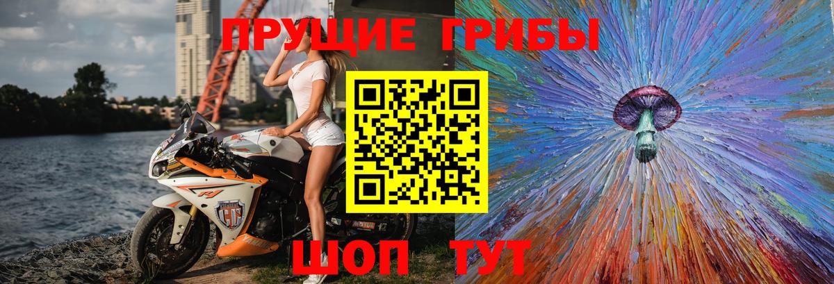 Горно-Алтайск  Галлюциногенные грибы Psilocybine cubensis  Вход с VPN 